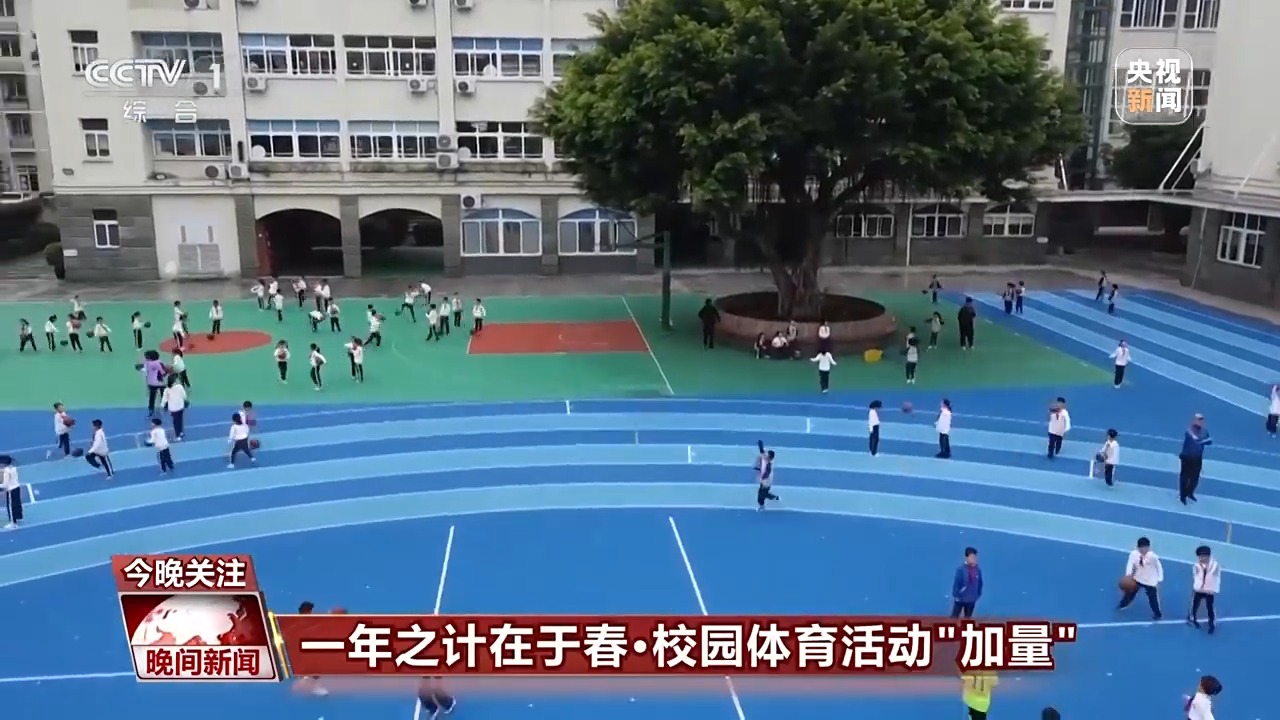 少反映了球
